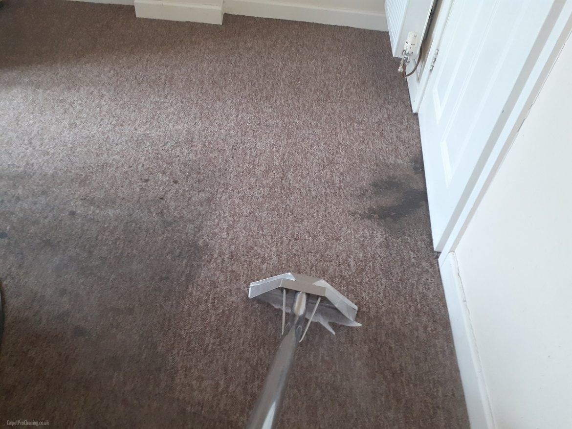 Extremely dirty carpet