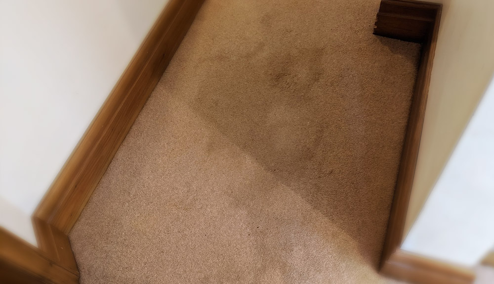 Carpet cleaning of very stained carpet