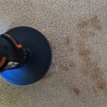 Wool carpet stains cleaning