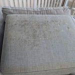 Mold on sofa