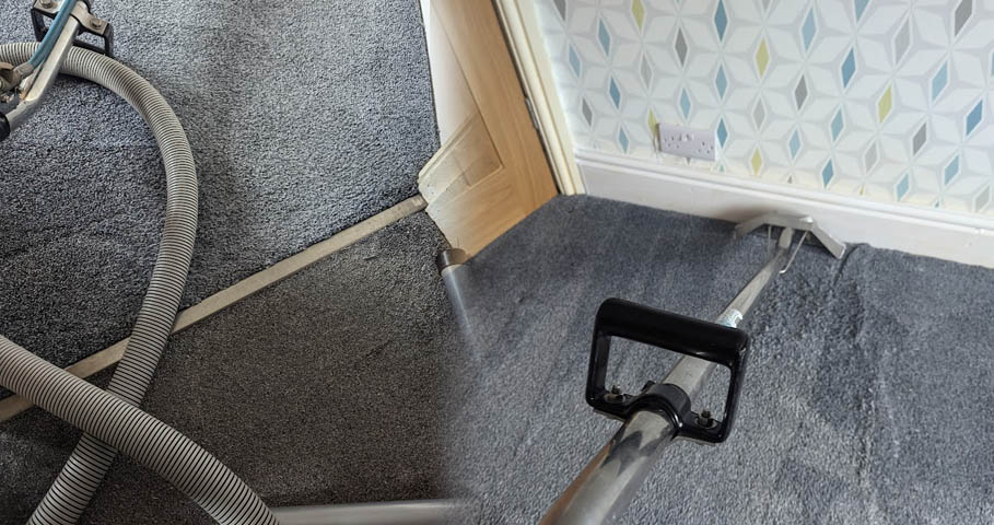 Enzymes carpet cleaning stain removal at Birkenhead