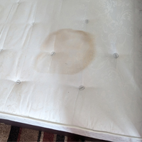 Mattress cleaning services