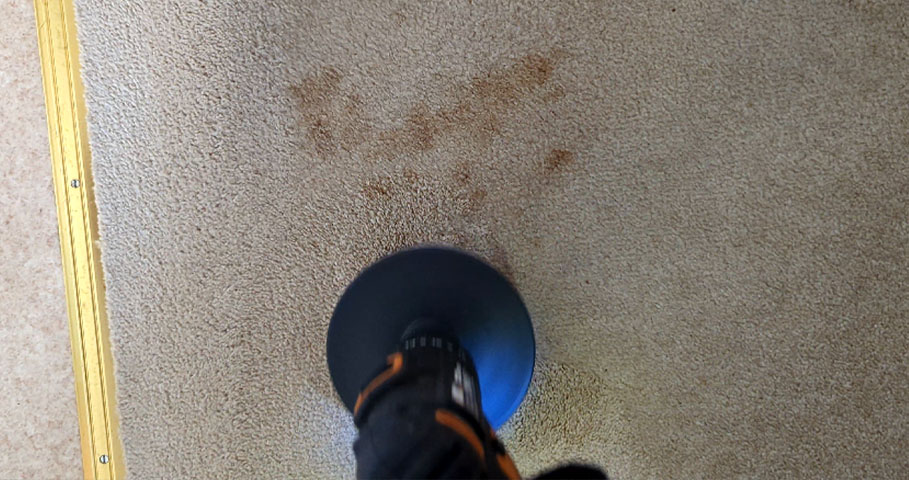 Stains removal from wool carpets