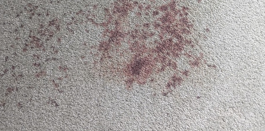 Emergency carpet cleaning Wallasey