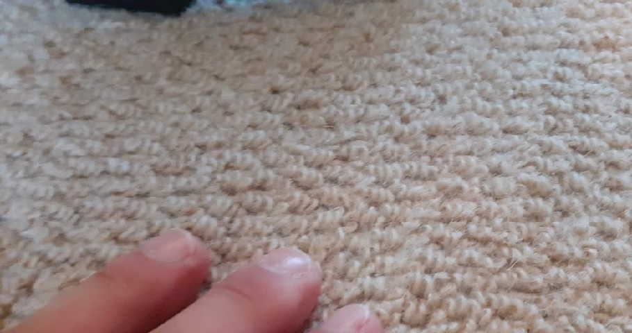 Wool Carpet Cleaning Birkenhead