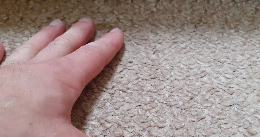 Is it worth getting carpets cleaned?