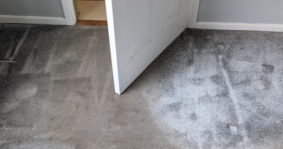 How to Keep Your Carpet and Sofa Fresh & Stain-Free