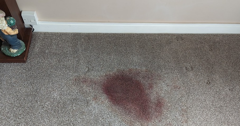 How to Prevent Carpet Stains Before They Happen