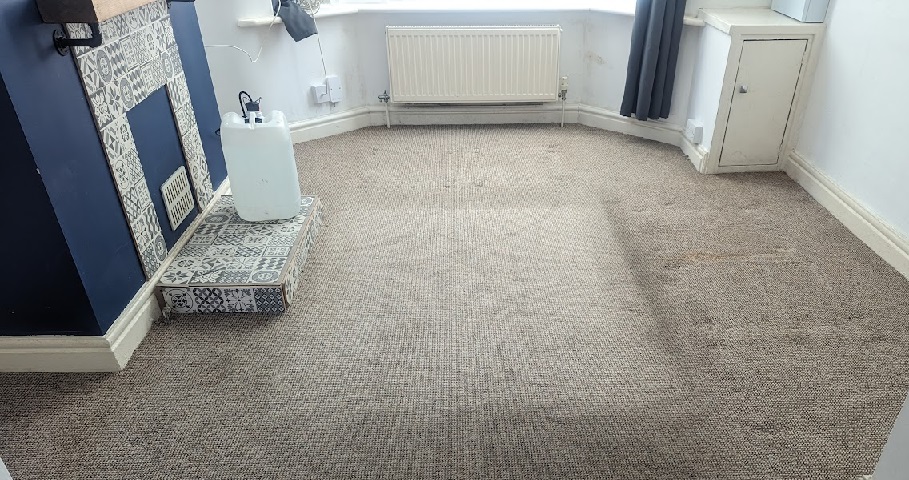 How Often Should You Clean Your Carpets? Expert Advice