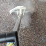 Will Carpet Cleaning Trigger My Allergies?