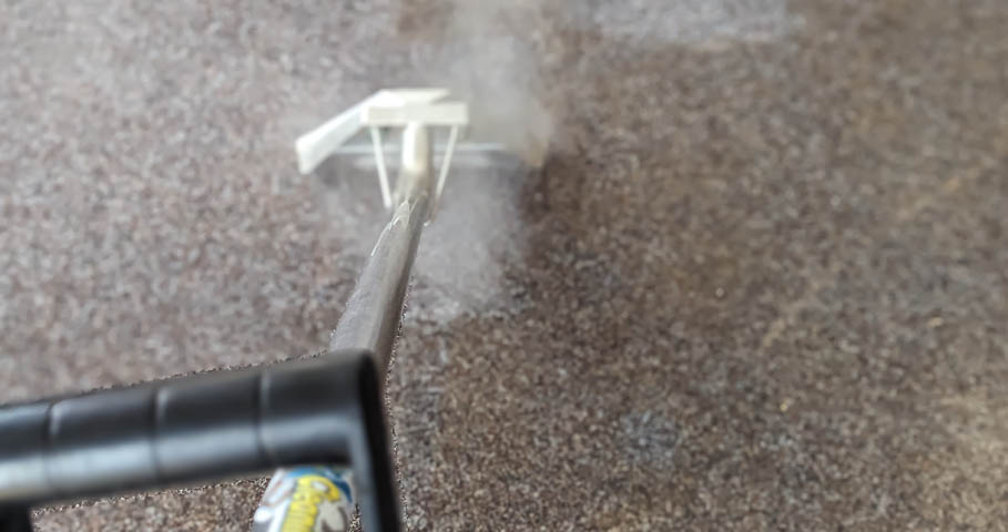 Will Carpet Cleaning Trigger My Allergies?