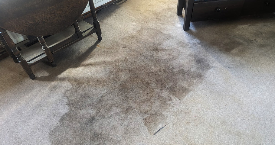 Essential Carpet Cleaning Mistakes to Avoid