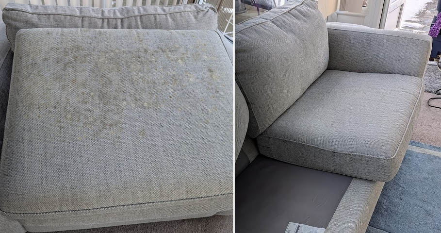 Moldy sofa in need of cleaning