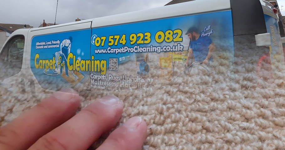 Myths and Facts About Cleaning Wool Carpets